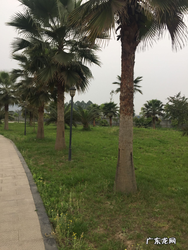 每日一例说风水 造酒店看风水