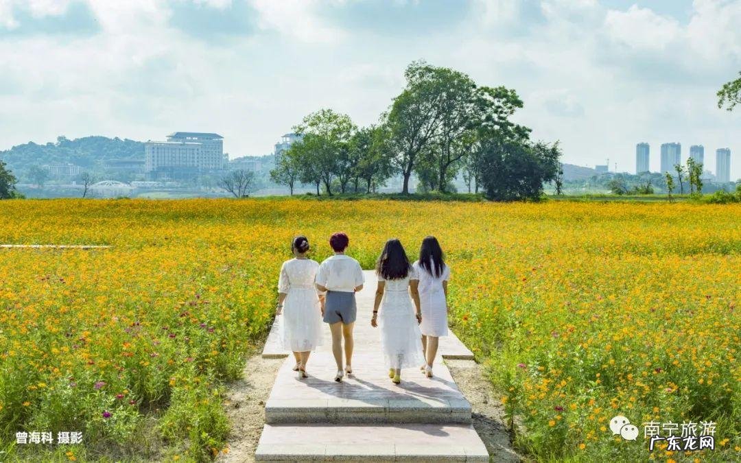 飞凤饮水形的特征 南宁风水留题飞凤饮水