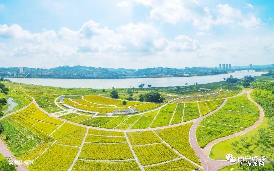 飞凤饮水形的特征 南宁风水留题飞凤饮水