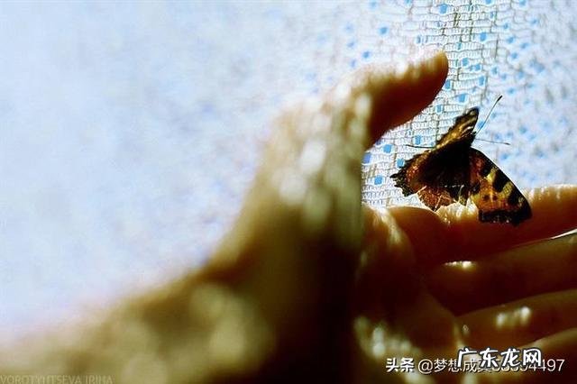 想念一个人想得要疯了怎么办?