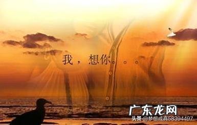 想念一个人想得要疯了怎么办?