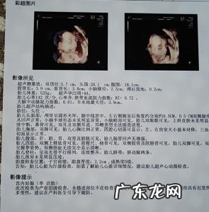 II～IV级是什么意思-英语中I II IV 什么意思 ?