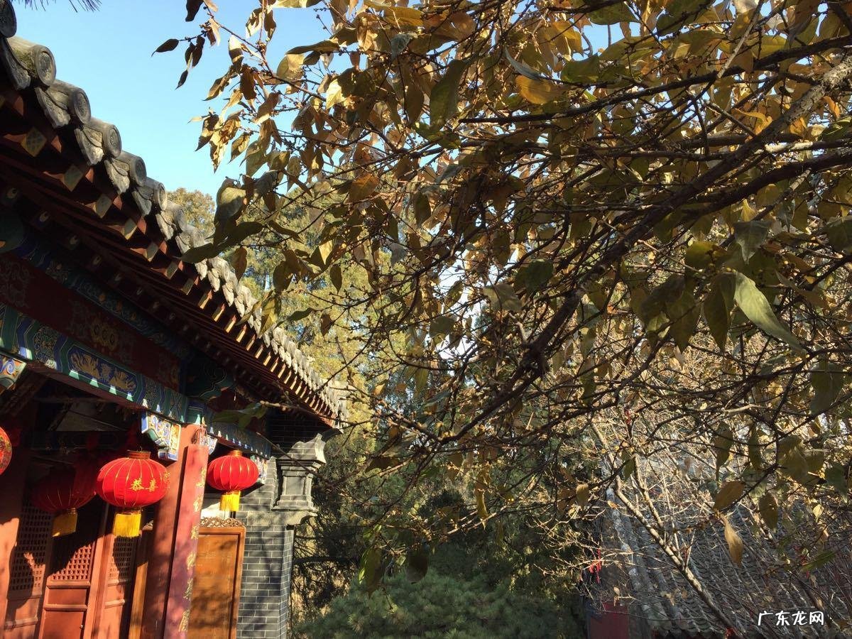 王母楼风水图解大全