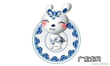 属兔的人家里风水放什么 属兔的最佳风水属相