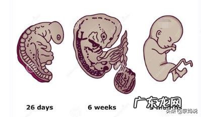 孕妇产检哪些是必须检查的项目?