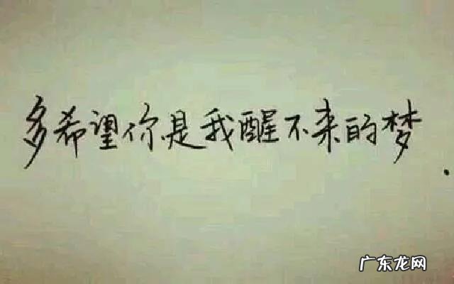 唯美动情的句子 动情的话语