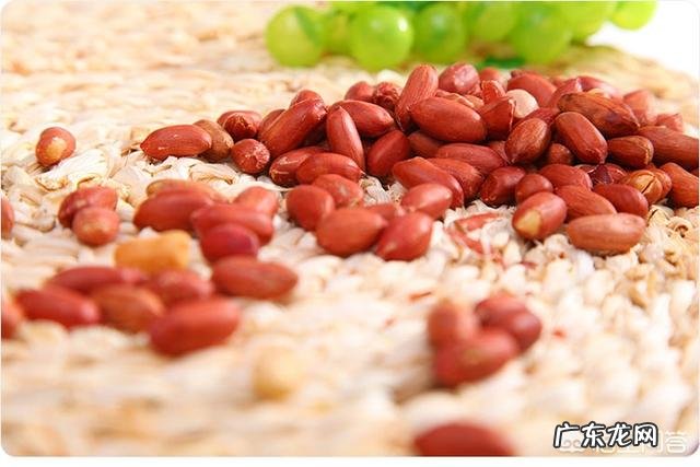 红衣花生有哪些功效与作用?