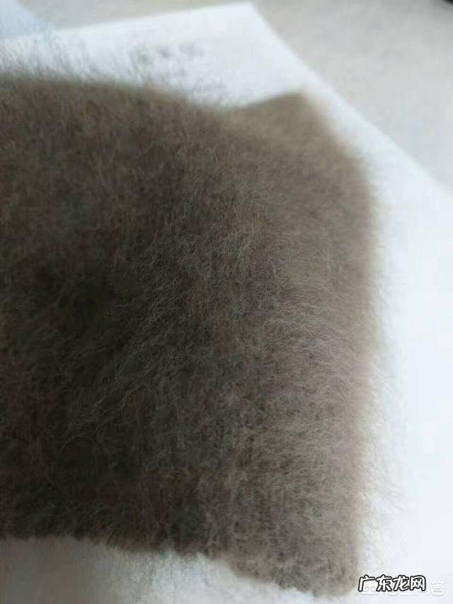 貂绒和羊绒毛衣,哪个好?