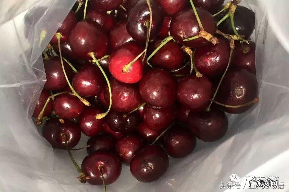 车厘子和大樱桃 车厘子和樱桃的区别