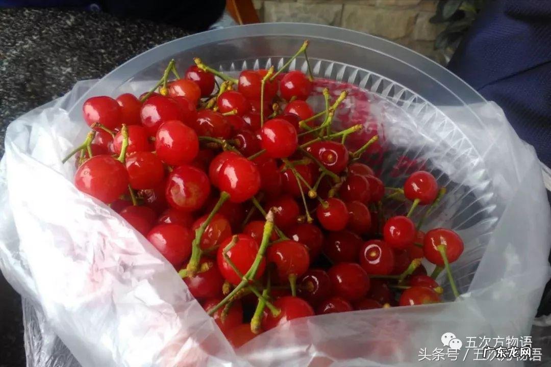 车厘子和大樱桃 车厘子和樱桃的区别