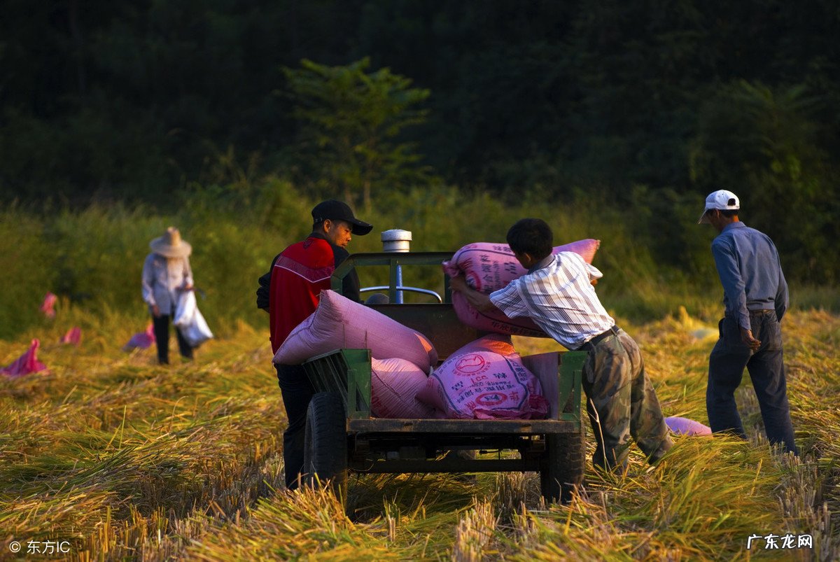 农村说“门前有堵 一堆沙石堵住了大门对家里风水好吗