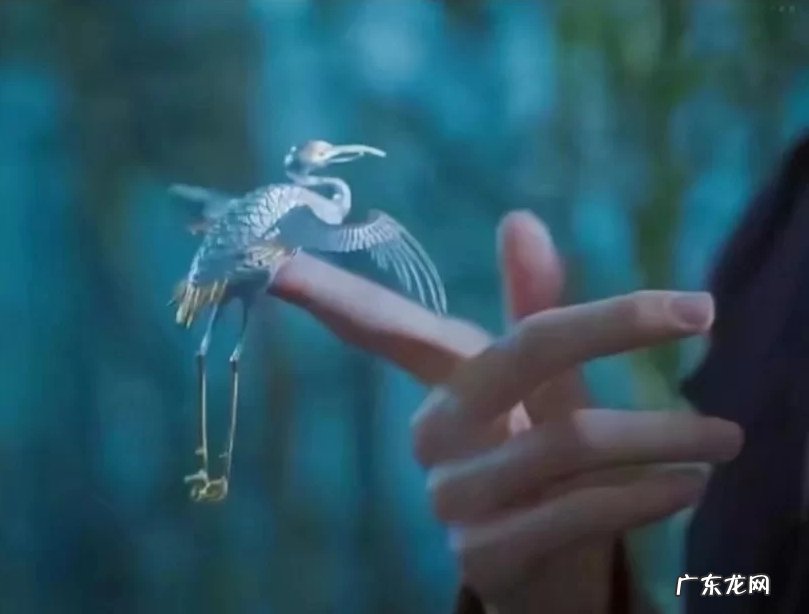 与手有关的词语 描写手的词语一个字