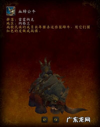 ctm8251 ctm副本顺序