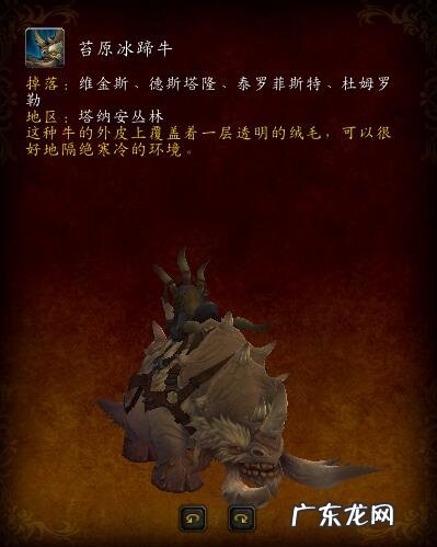 ctm8251 ctm副本顺序