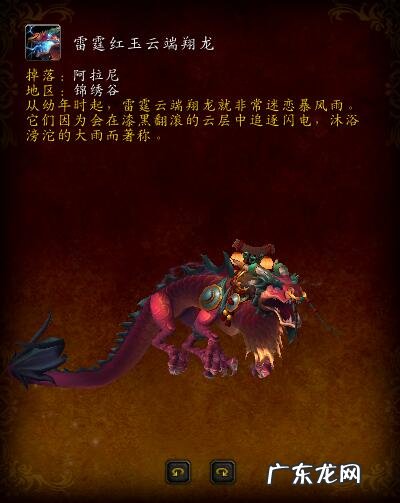 ctm8251 ctm副本顺序