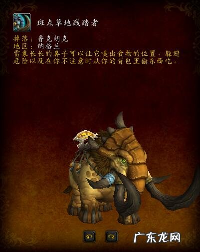 ctm8251 ctm副本顺序