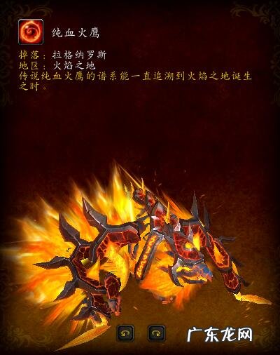 ctm8251 ctm副本顺序