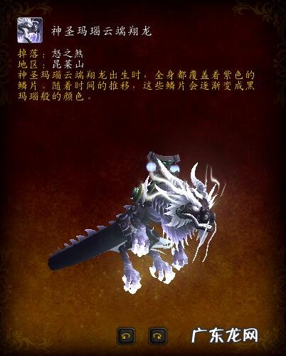 ctm8251 ctm副本顺序