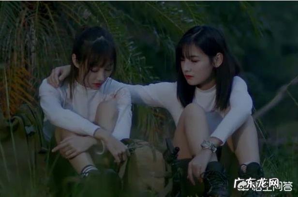 老员工如何面对职场中的“森林法则”?