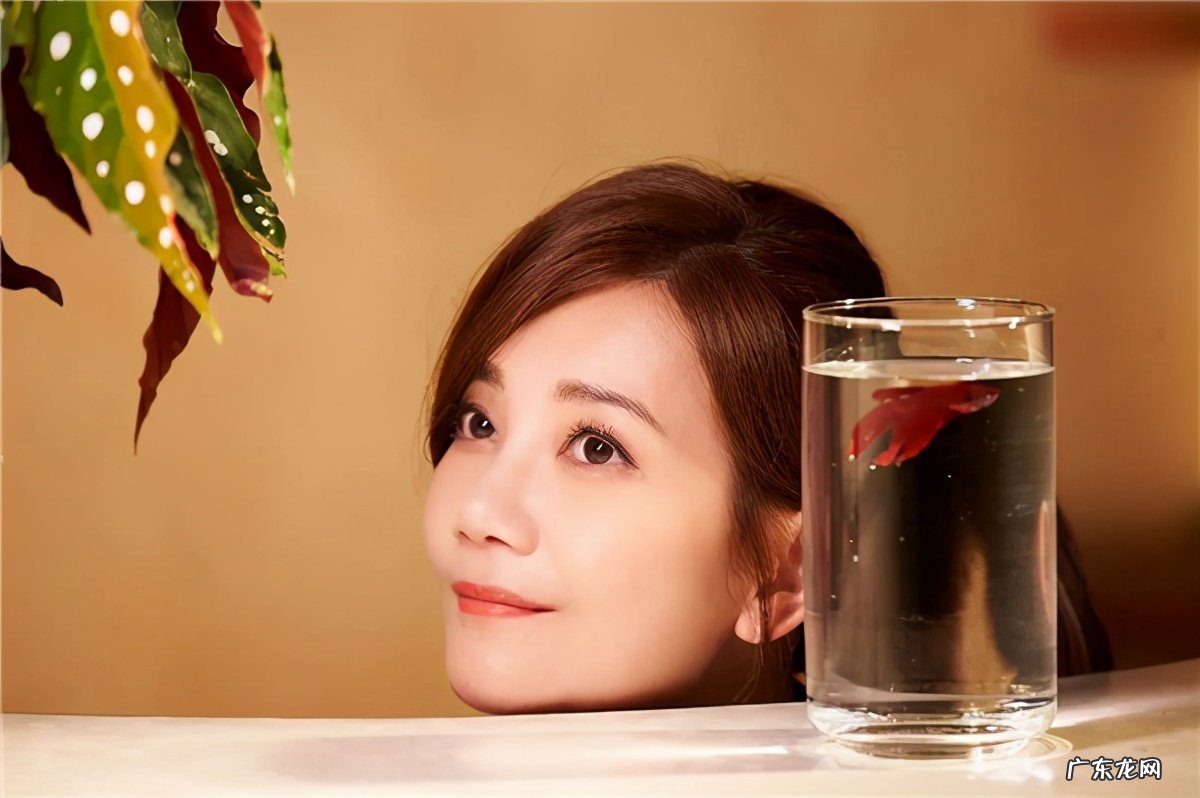 梁静茹个人资料简介,梁静茹结婚了吗,梁静茹新恋情曝光 梁静茹个人资料简介张