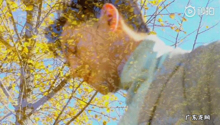 你希望胡歌和薛佳凝结婚吗?