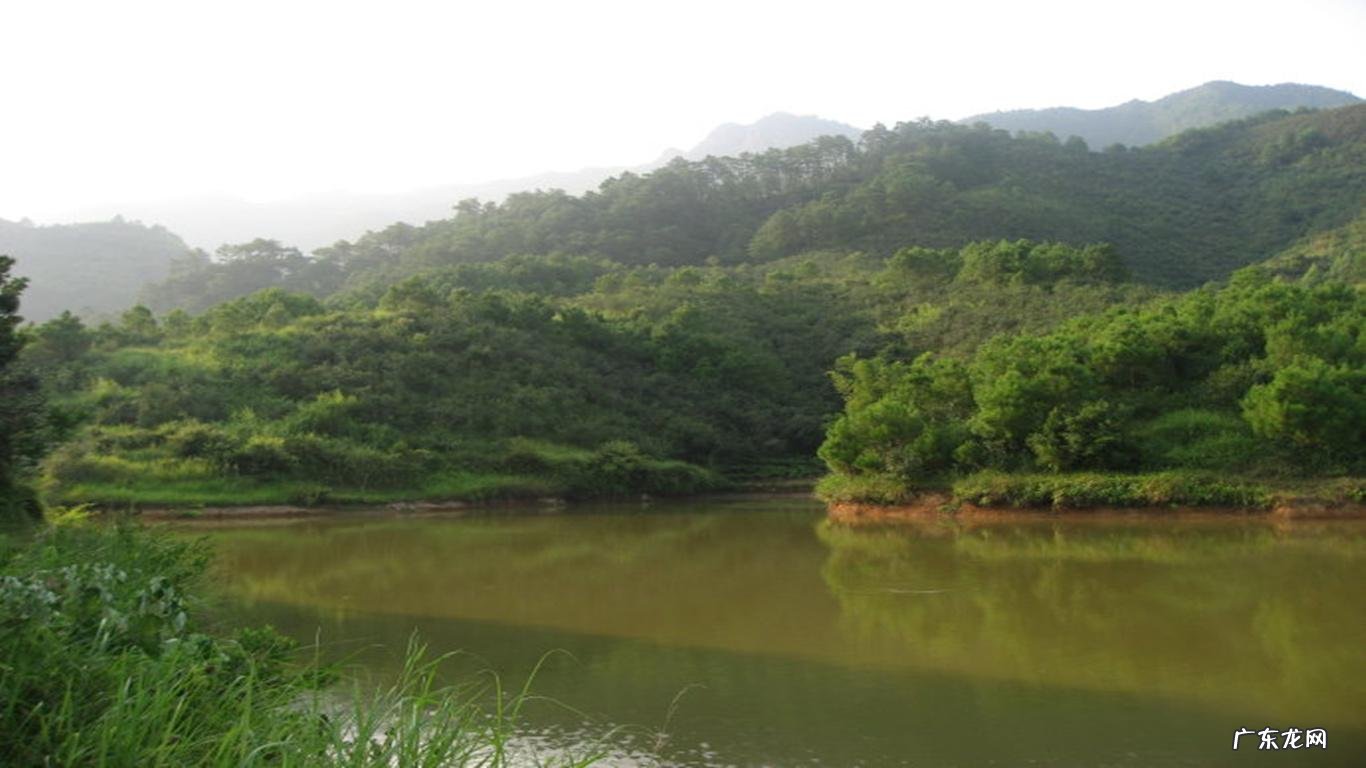 江西有名风水大师是谁 清末江西洪姓风水名师是谁