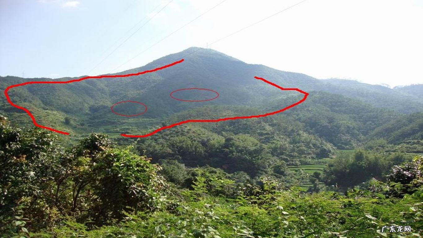 江西有名风水大师是谁 清末江西洪姓风水名师是谁