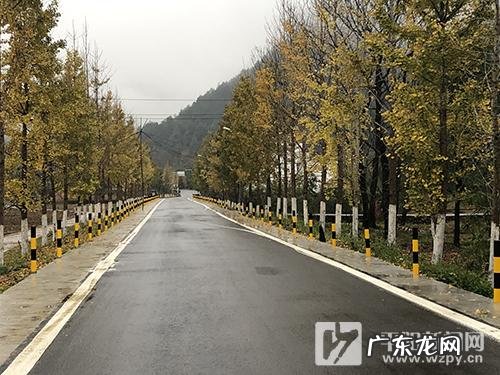 平阳风水龙脉有没有五色土的