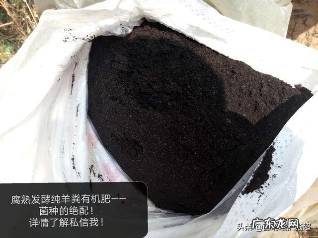 农业生产作物种植中,为什么使用的有机肥一定要经过腐熟?这主要是什么原因?