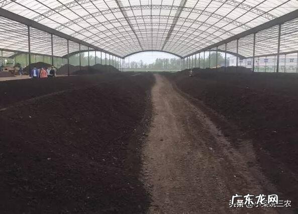 农业生产作物种植中,为什么使用的有机肥一定要经过腐熟?这主要是什么原因?