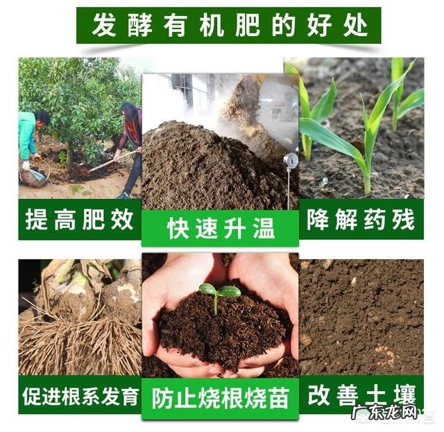 农业生产作物种植中,为什么使用的有机肥一定要经过腐熟?这主要是什么原因?