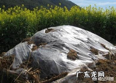 农业生产作物种植中,为什么使用的有机肥一定要经过腐熟?这主要是什么原因?