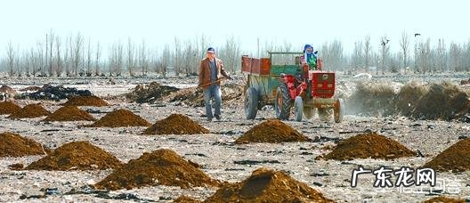 农业生产作物种植中,为什么使用的有机肥一定要经过腐熟?这主要是什么原因?