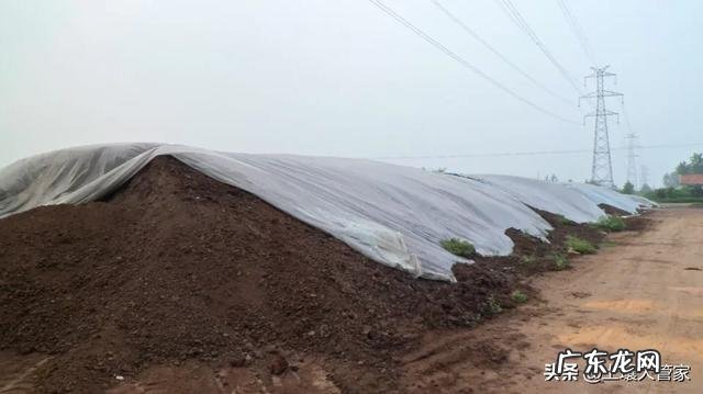 农业生产作物种植中,为什么使用的有机肥一定要经过腐熟?这主要是什么原因?