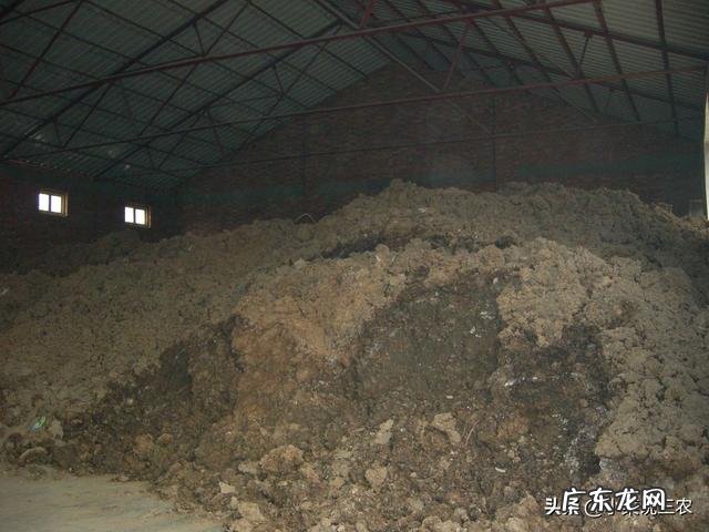 农业生产作物种植中,为什么使用的有机肥一定要经过腐熟?这主要是什么原因?