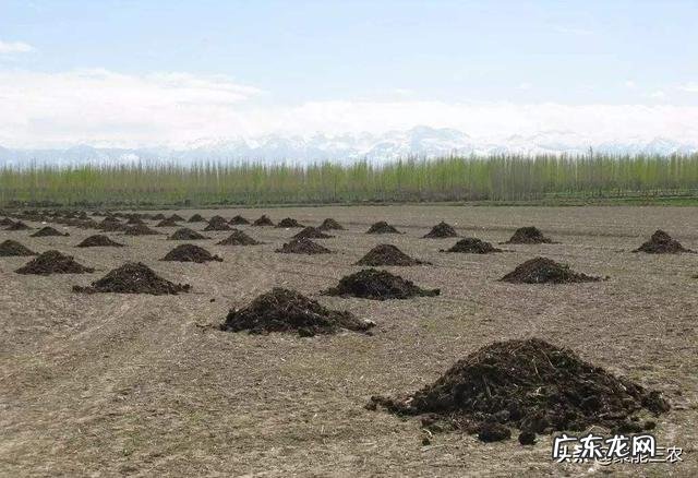 农业生产作物种植中,为什么使用的有机肥一定要经过腐熟?这主要是什么原因?