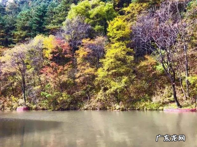 陆龙兄弟 陆龙生