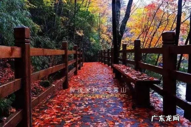 陆龙兄弟 陆龙生