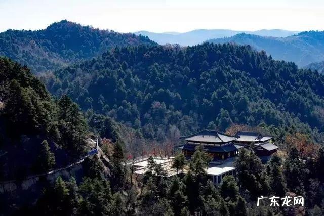 陆龙兄弟 陆龙生