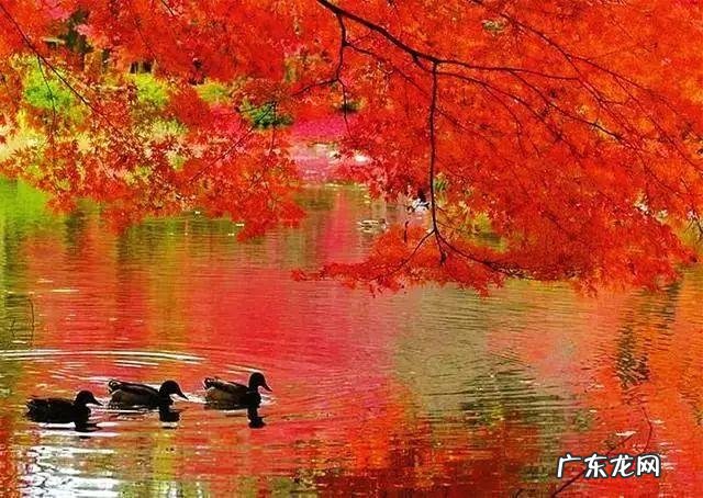 陆龙兄弟 陆龙生