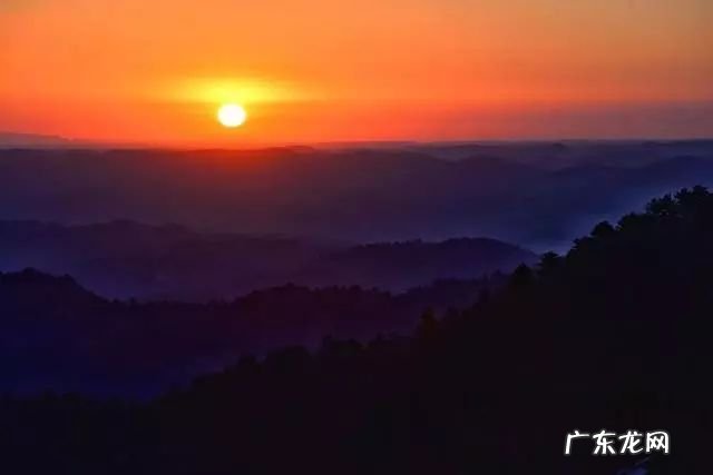 陆龙兄弟 陆龙生