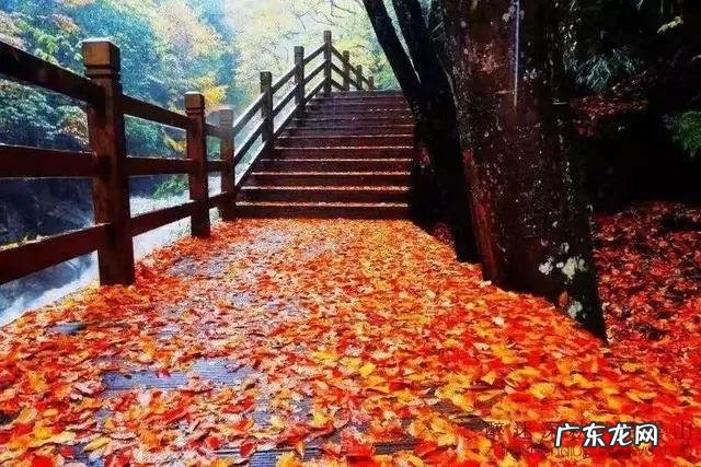 陆龙兄弟 陆龙生