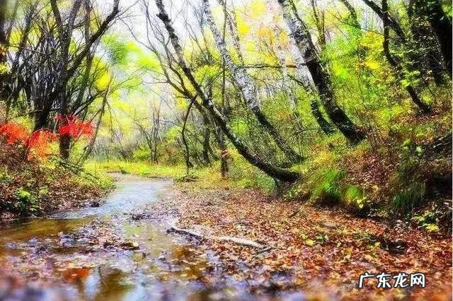 陆龙兄弟 陆龙生