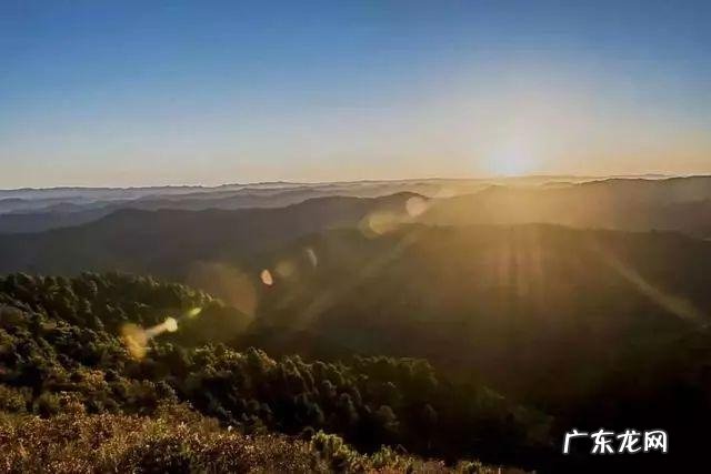 陆龙兄弟 陆龙生