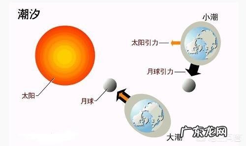 大海什么时间涨潮和退潮?