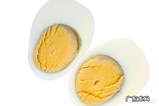 给博美犬吃什么食物,对身体有益?