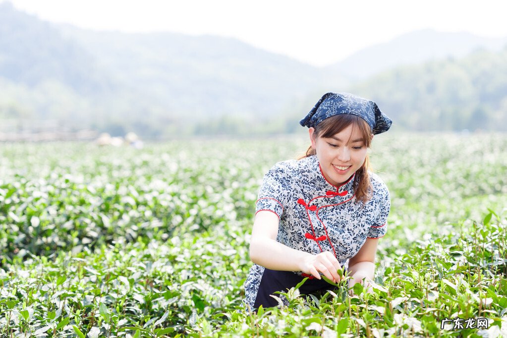 老话“富贵不住东南房 东南向的房子风水