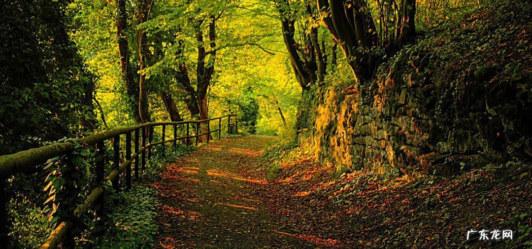 一晃半年过去了的心情说说