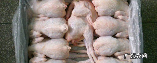 制作白条鸡的方法