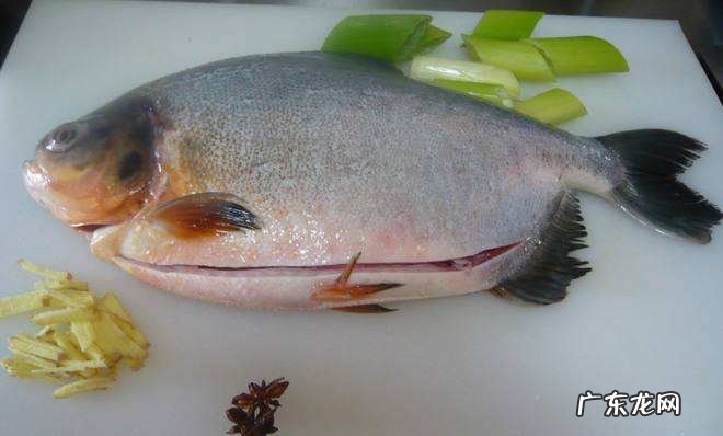 不宜吃红鲳鱼的人群